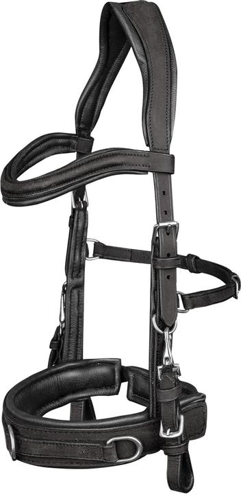 Actual product image Waldhausen Leather bridle Anatomic