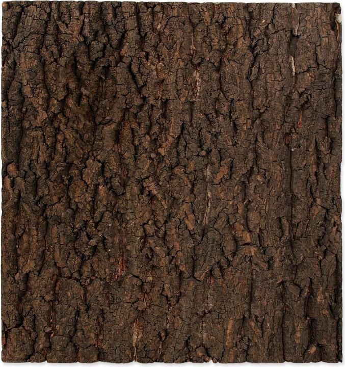 Actual product image Repti Planet Cork back wall 43.5 x 41 x 2 cm