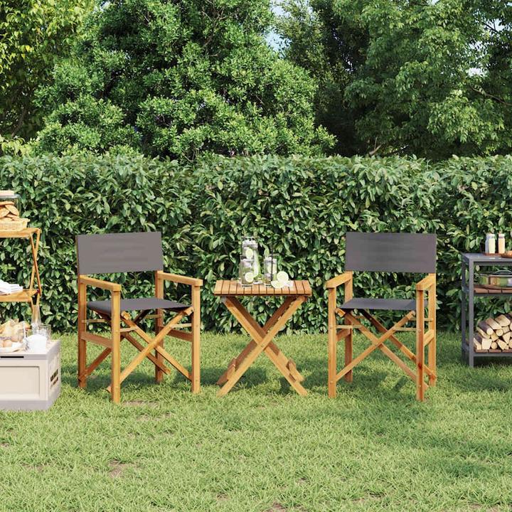 Image du produit VidaXL Chaises de régie 2 pcs. Pliable Teck