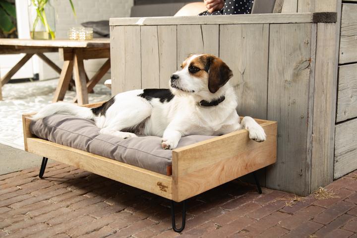Immagine prodotto Designed by Lotte Letto in legno Turana (Cane)