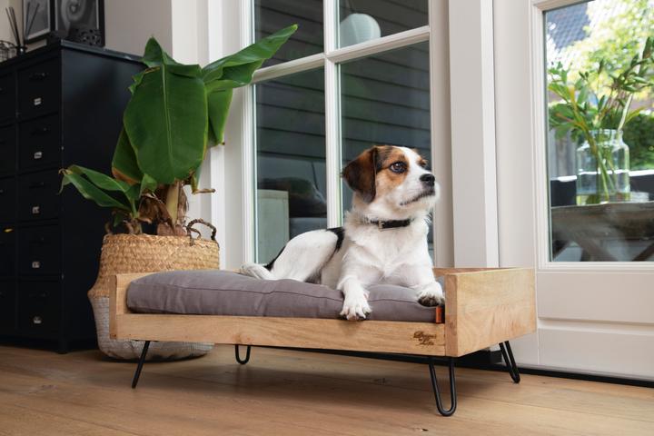 Immagine prodotto Designed by Lotte Letto in legno Turana (Cane)
