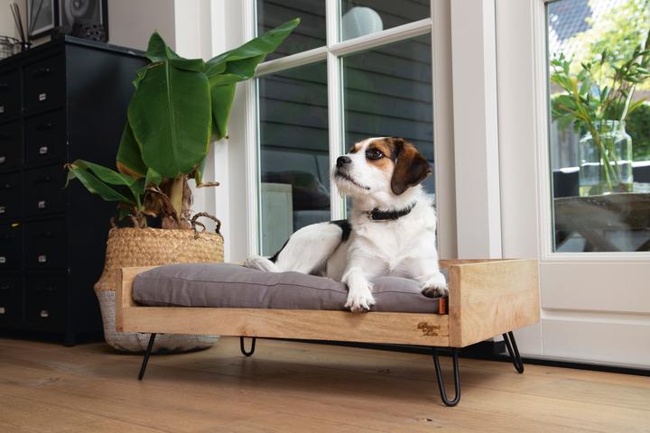 Immagine prodotto Designed by Lotte Letto in legno Turana (Cane)