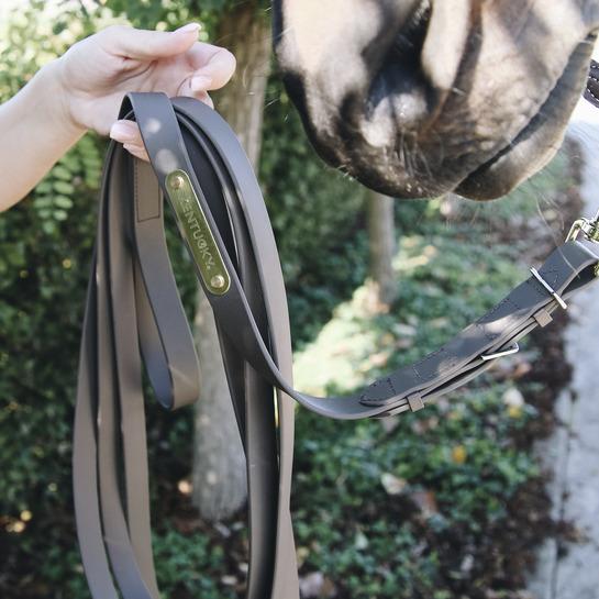 Produktbild Kentucky Horsewear longe reiten für präsentationspferd leder