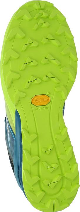 Produktbild Dynafit Alpine Laufschuh (48 1/3)