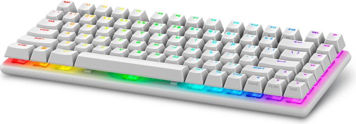 Image du produit Dell Alienware Pro Wireless Gaming Keyboard (US, Sans fil)