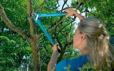 Immagine prodotto Gardena Cesoie Comfort 500 AL