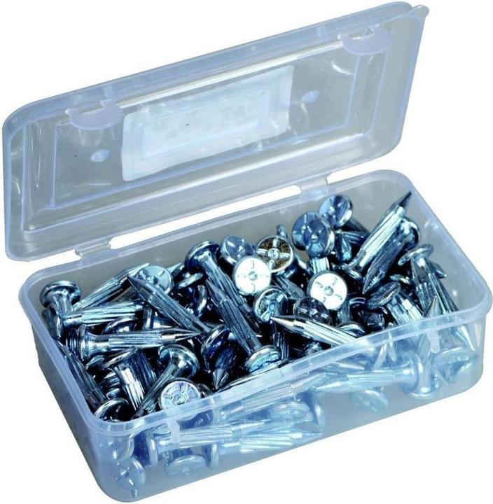 Image du produit Laserliner Clous de mesure PK 50 x 6.35 mm 100 pièces