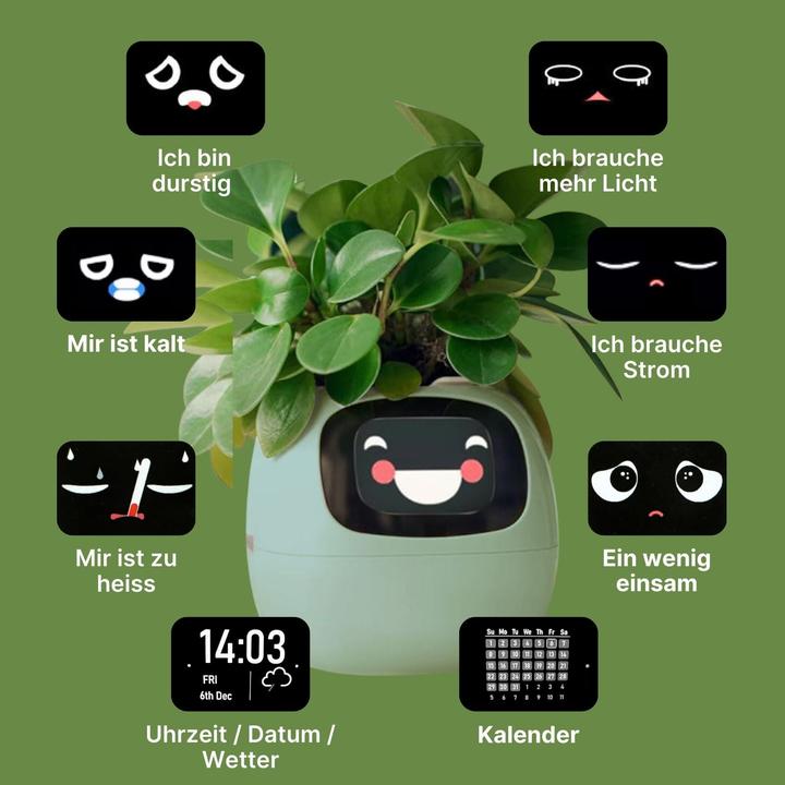 Actual product image Hermex Smart Plant Pot Electronic flower pot USB plant planter Smart flower pot Ivy Smart Planter (11 cm)