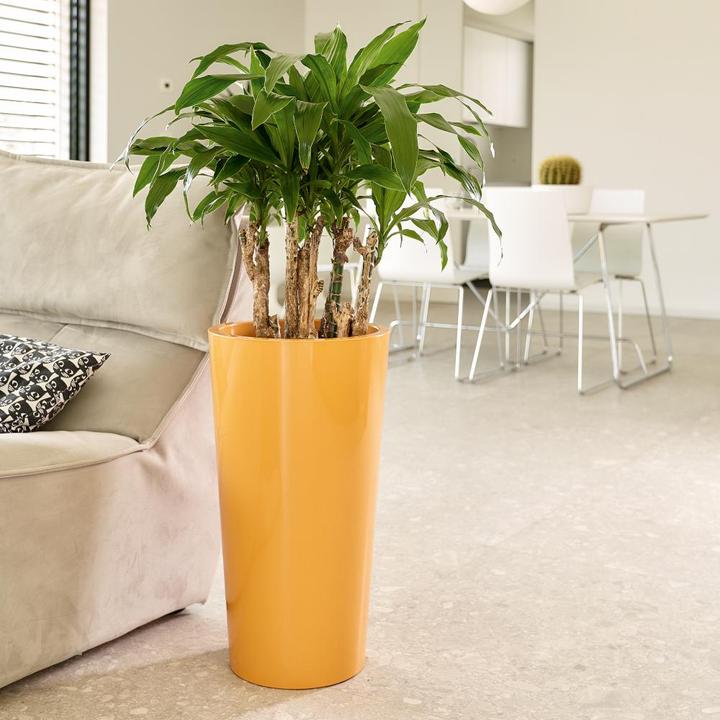 Produktbild Euro3plast Pflanztopf TUIT Ø 33 cm mango gelb (33.50 cm)