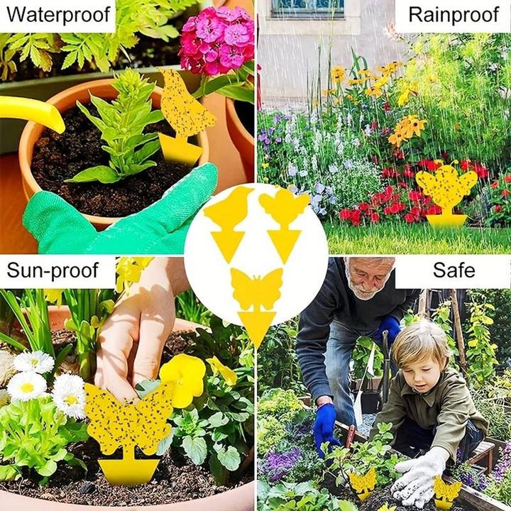 Produktbild König Design Gelbtafeln Gelbsticker Blautafeln Blausticker Fliegenfänger Fruchtfliegen Falle