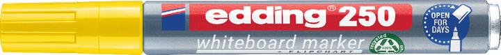 Actual product image Edding 250 (Yellow, 3 mm, 1 x)