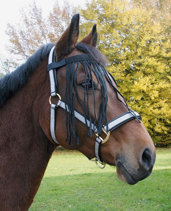 Kerbl Bande de franges anti-mouches avec fermeture velcro