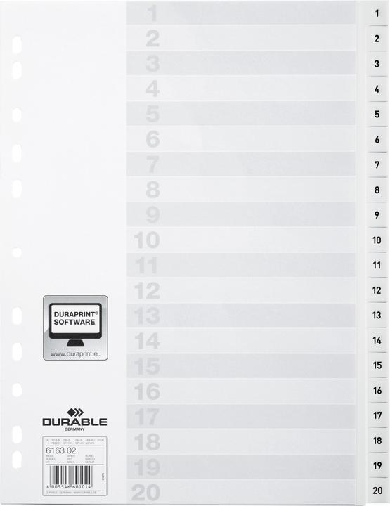 Image du produit Durable Index A4 1-20, avec feuille d'index