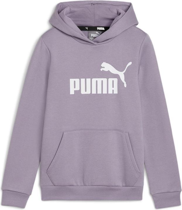 Puma ESS Logo Hoodie FL G (164)
