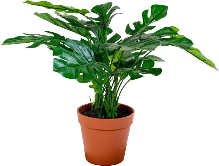 Actual product image House Nordic Monstera (45 cm)