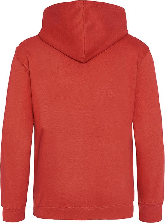 Actual product image Awdis Hooded jumper (146)