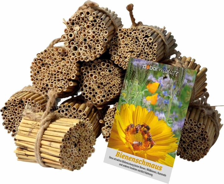 Produktbild Dobar Schilfrohrhalme-Set (Biene, Wildbienen)