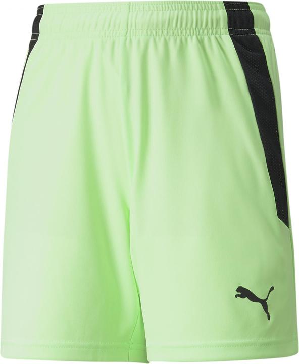Image du produit Puma short teamLIGA Jr-704931 (128)