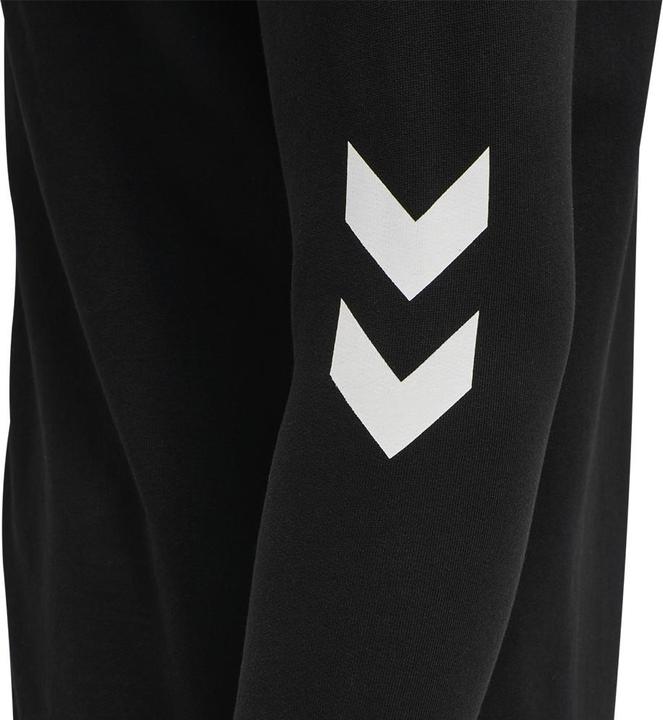 Image du produit hummel Legacy Zip Hoodie (L)