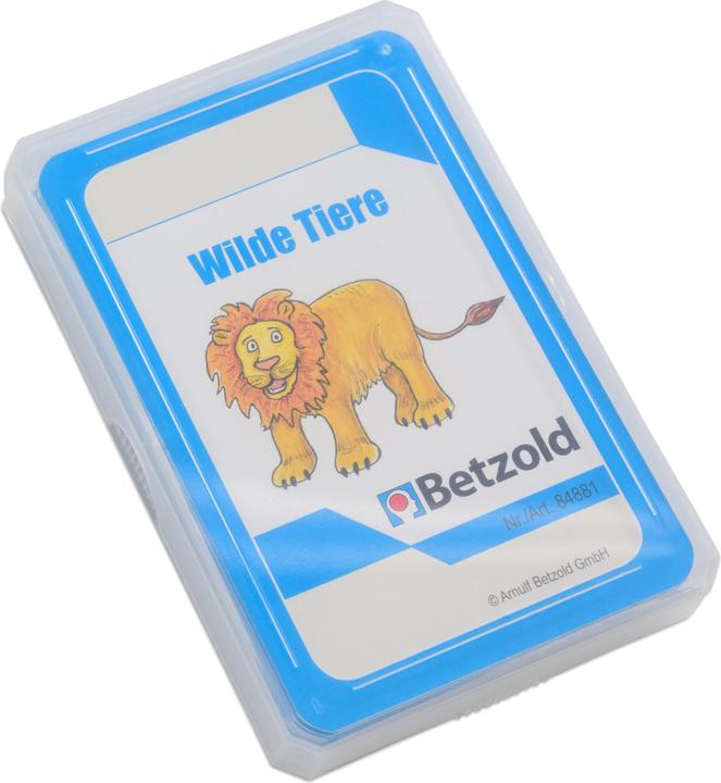 Actual product image Betzold Basic vocabulary card set - for the magic cylinder (German)