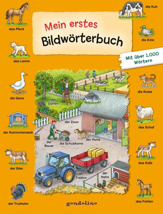 Actual product image Mein erstes Bildwörterbuch (German, Joachim ruffle, gondolino picture words and exercise books, 2020)