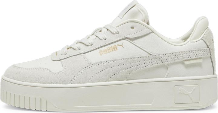 Puma Carina Street SD (36)