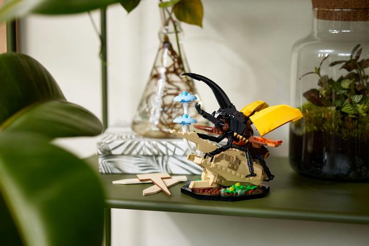 Immagine prodotto LEGO Idee La collezione di insetti (21342, LEGO Ideas)