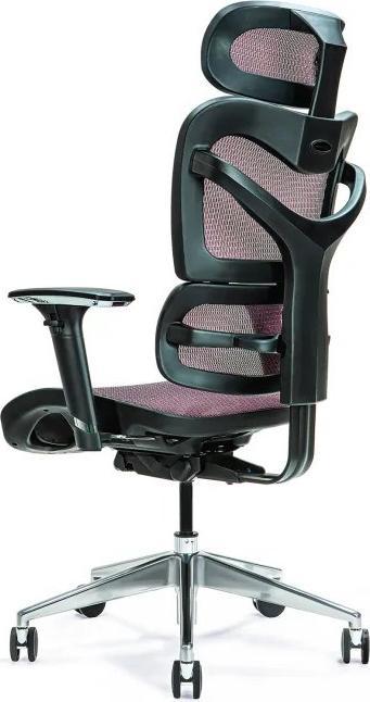 Actual product image Bemondi Ergonomic office chair ERGO 600 Plum