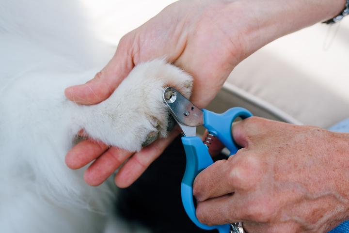 Image du produit Zen Clipper Cisaille à griffes (Chien, Chat)