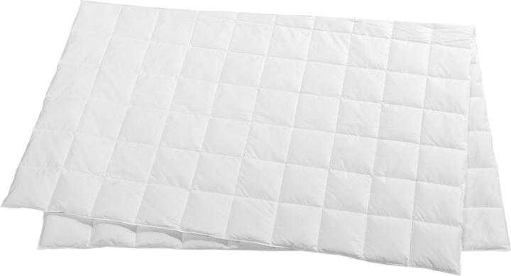 Produktbild Feelings by billerbeck Lou (520 g, 240 x 240 cm)