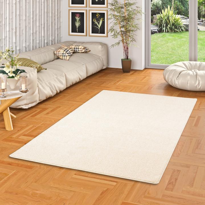 Produktbild Snapstyle Hochflor Velours Teppich Mona (100 x 400 cm)