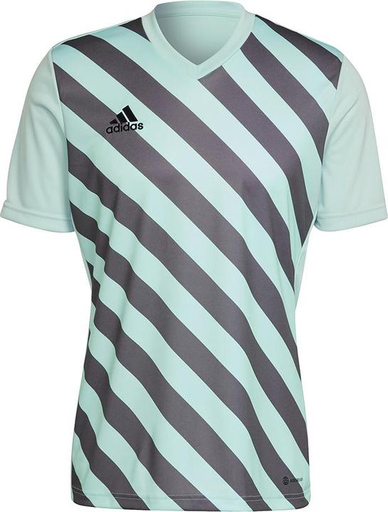 Actual product image adidas Entrada 22 Graphic Jersey (M)