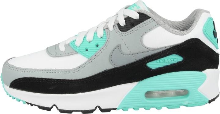 Actual product image Nike Air Max 90 Leather (GS) (37.5)