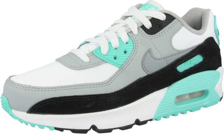 Actual product image Nike Air Max 90 Leather (GS) (37.5)