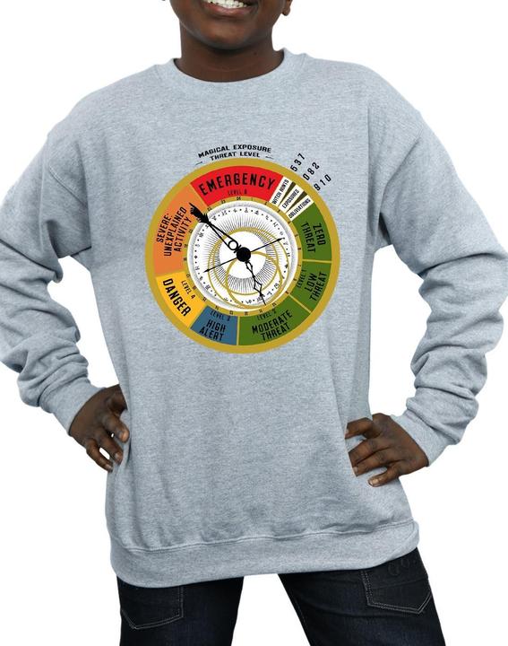 Actual product image Fantastic Beasts Boys Threat Level Sweatshirt (140, 146)