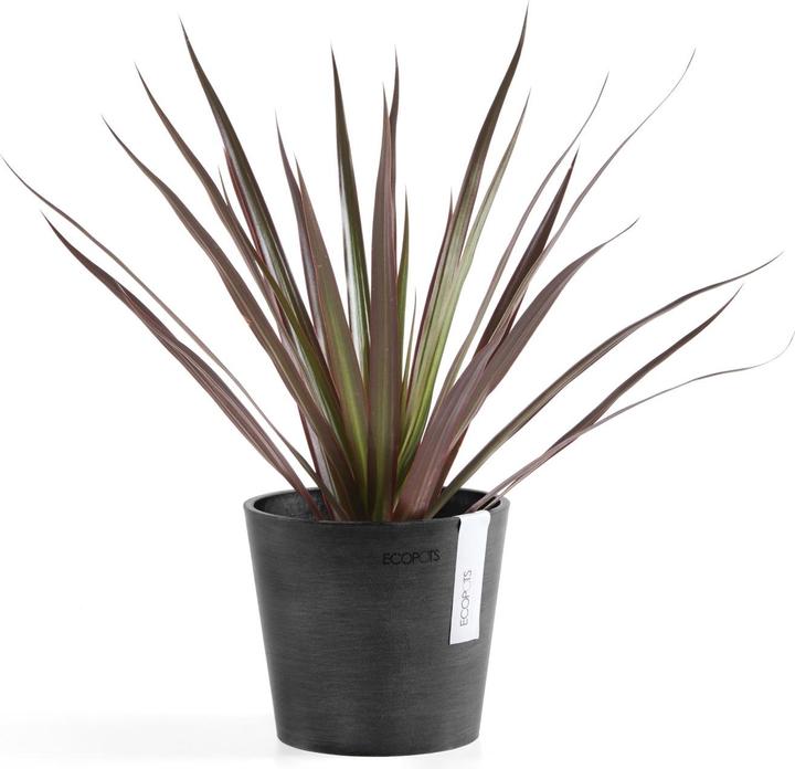 Produktbild Ecopots Amsterdam Mini (13 cm)