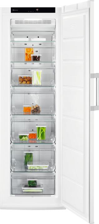 Immagine prodotto Electrolux SG232N (Struttura autonoma, 253 l)