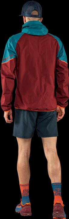 Produktbild Dynafit Alpine GTX (XXL)