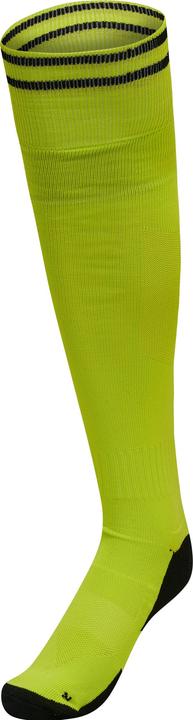 limepopsicle