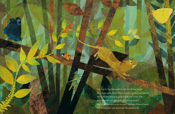 Produktbild Der kleine Spross (Deutsch, Britta Teckentrup, 2020)