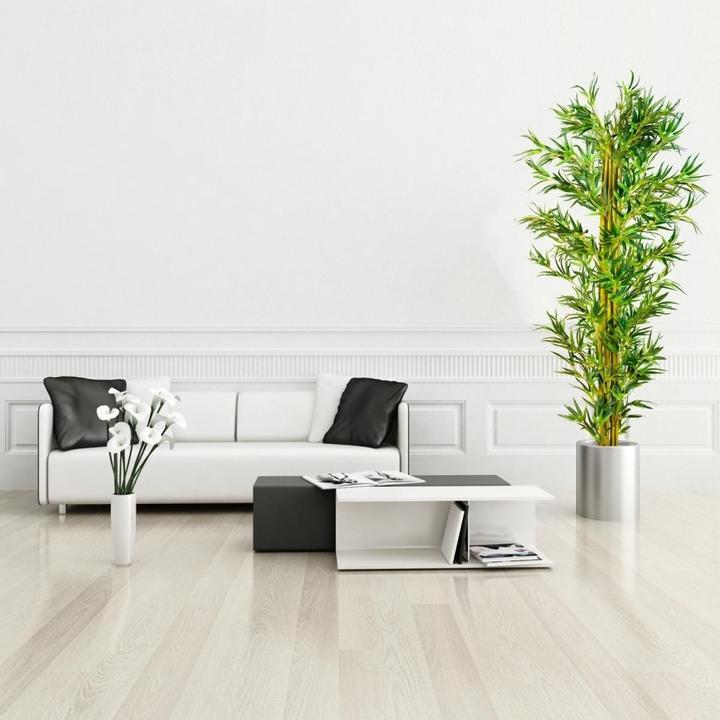 Image du produit Plantasia Bambou Arbuste (160 cm)