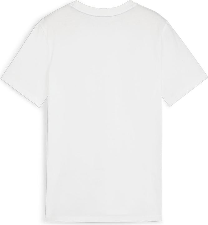 Actual product image Puma teamGOAL Casuals Tee Jr (140)