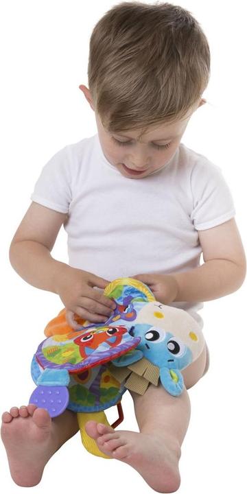 Actual product image Playgro Clip clap horse music and picture book