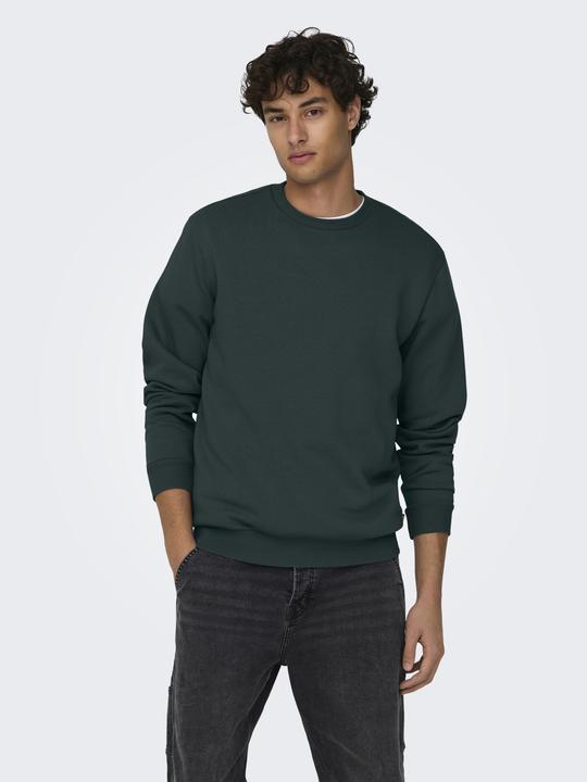 Produktbild Only & Sons Onsceres Crew Neck Noos (S)