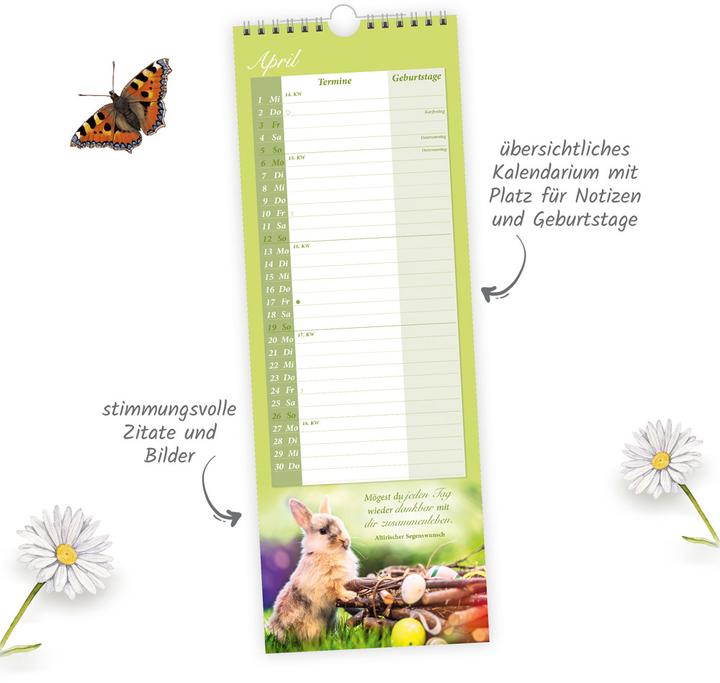 Actual product image TrötschMaxi-StreifenkalenderOmasKalender2026 (German)