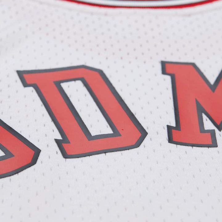 Produktbild Mitchell & Ness Swingman Mesh Jersey Chicago Bulls 1997 Dennis Rodman - L (L)