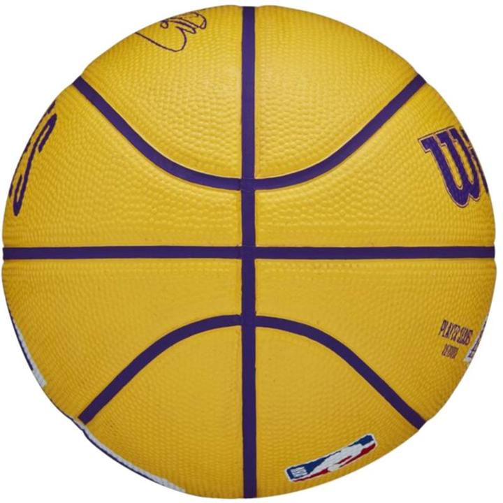 Image du produit Wilson Nba Player Icône Mini Bskt Curry