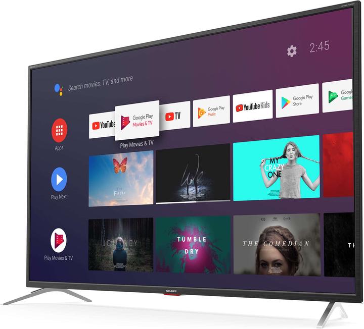 Actual product image Sharp 65BL5EA (65", LCD, 4K, 2019)