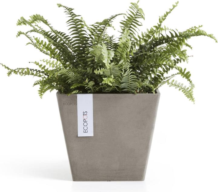 Actual product image Ecopots Rotterdam (20 cm)
