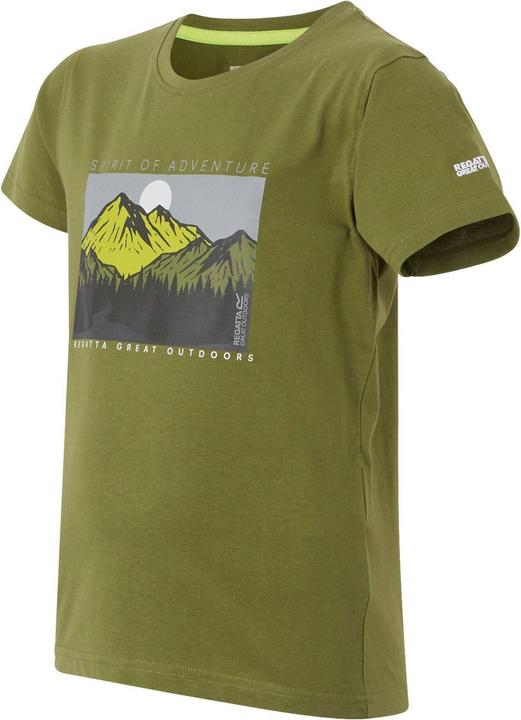 Actual product image Regatta Childrens/Kids Bosley VIII Mountain T-Shirt (146, 152)